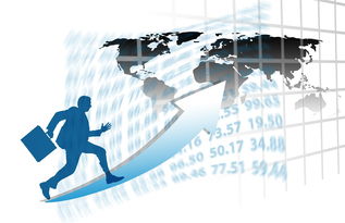 星空体育app体验棒-中国篮球职业联赛赛事运营管理优化方案，中国篮球竞赛制度改革