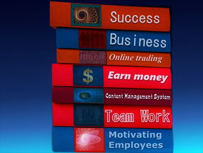 xingkong体育-中国篮球职业联赛经济效益提升路径及风险管理，中国篮球职业联赛的看法