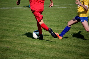 星空体育网页版-篮球训练计划科学制定与执行效果评估，篮球训练计划制定与范例